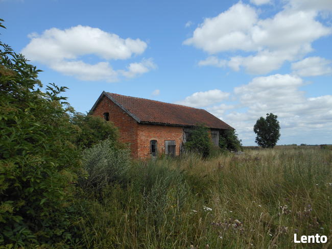 Domek i budynki gospodarcze