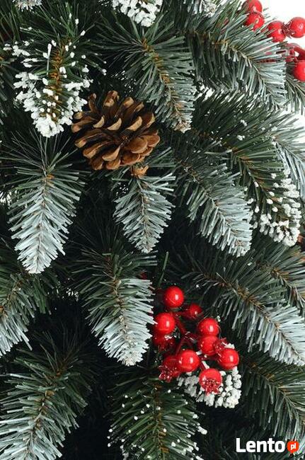 Choinki na pniu z jarzębiną Wysyłka