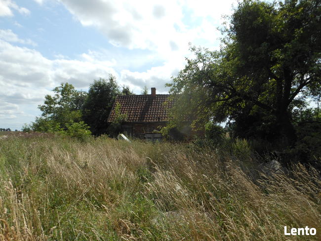 Domek i budynki gospodarcze