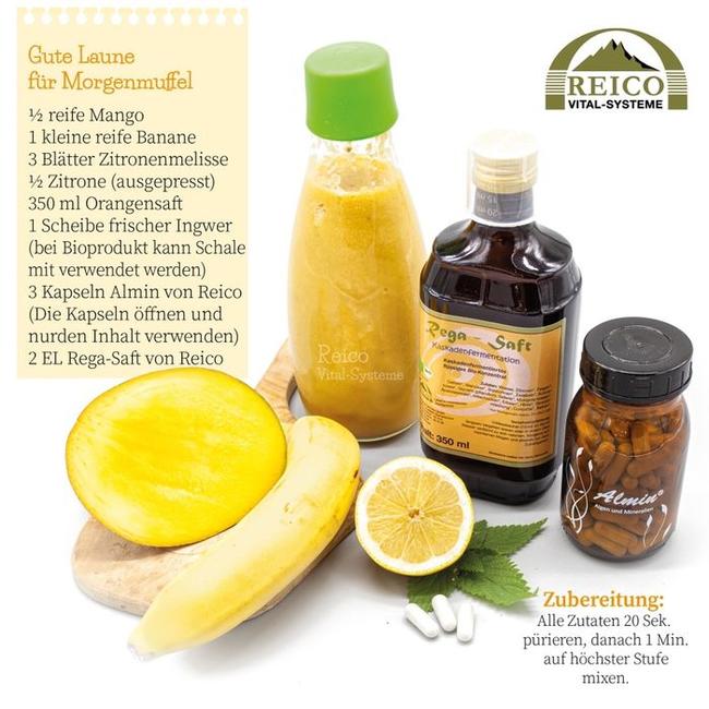 LEVI SAFT Reico Vital Niemcy Enzymy w płynie