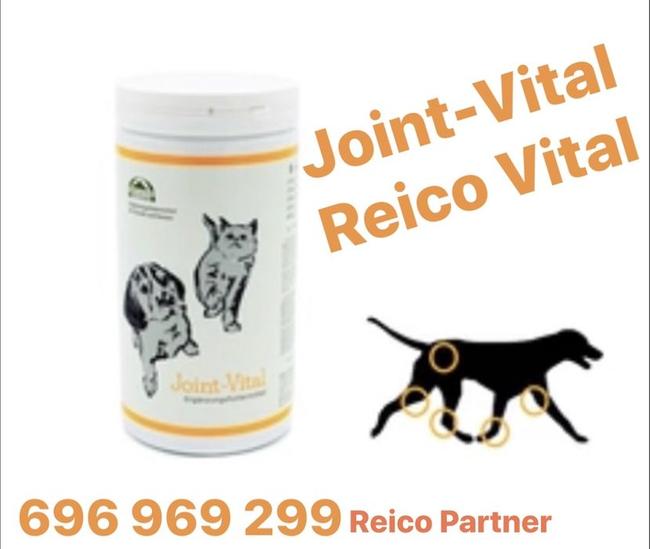 JOINT-VITAL Dodatek żywieniowy dla psów i kotów Reico Vital