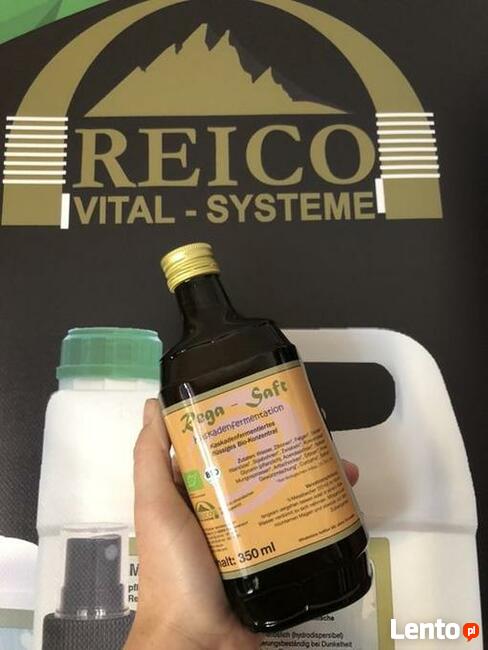 REGA SAFT Reico Vital Niemcy Enzymy w płynie