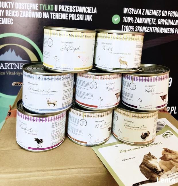 Karma mokra premium puszeczki po 200 gram Reico Vital