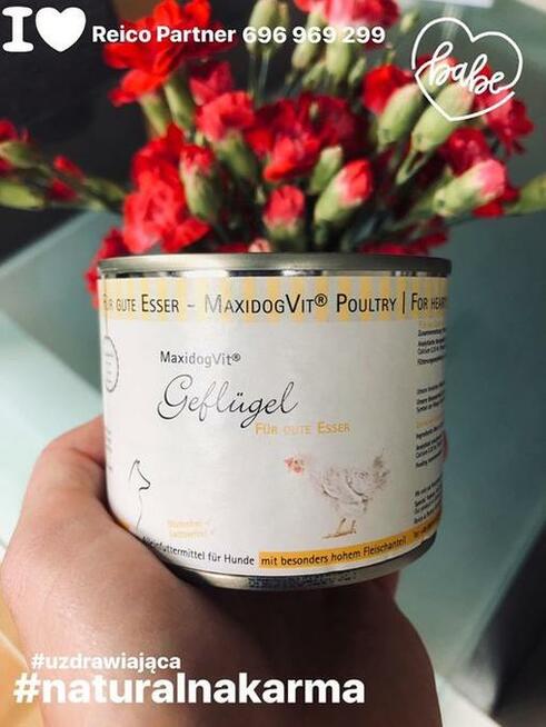 Karma mokra i sucha dla psa i kota Reico Vital