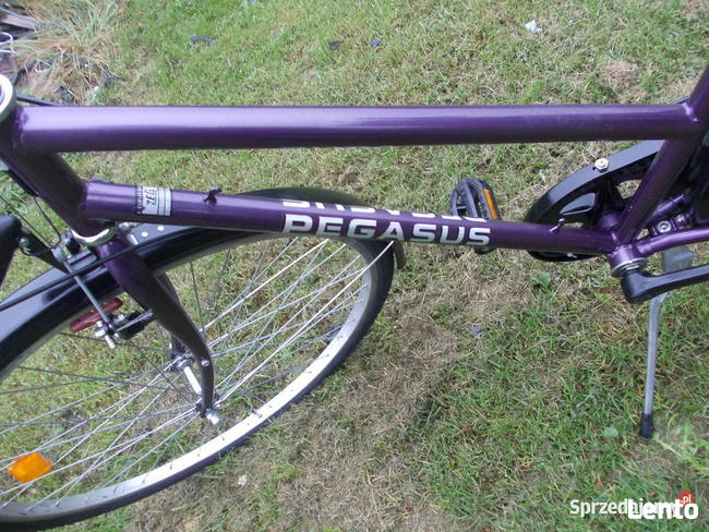 Rower Pegasus Młodzieżowy 28 cali , 7 biegów w Piaście
