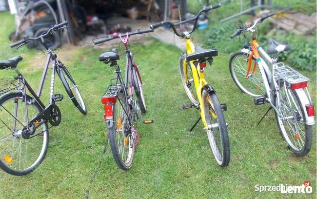 Rower Pegasus Młodzieżowy 28 cali , 7 biegów w Piaście