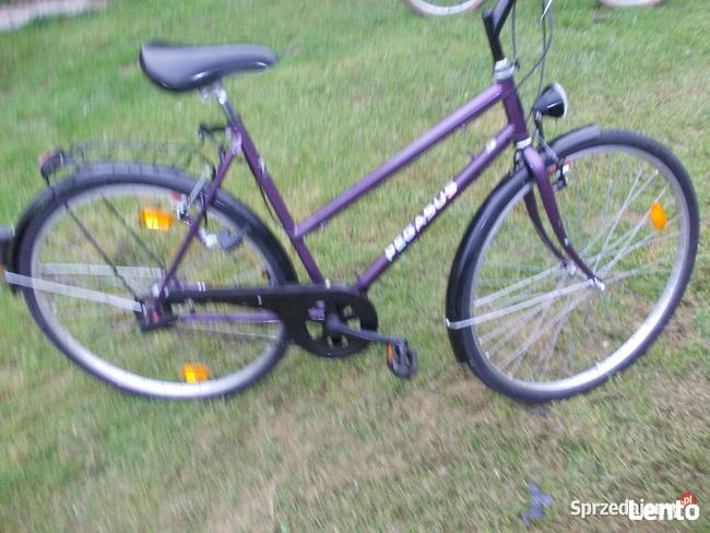 Rower Pegasus Młodzieżowy 28 cali , 7 biegów w Piaście