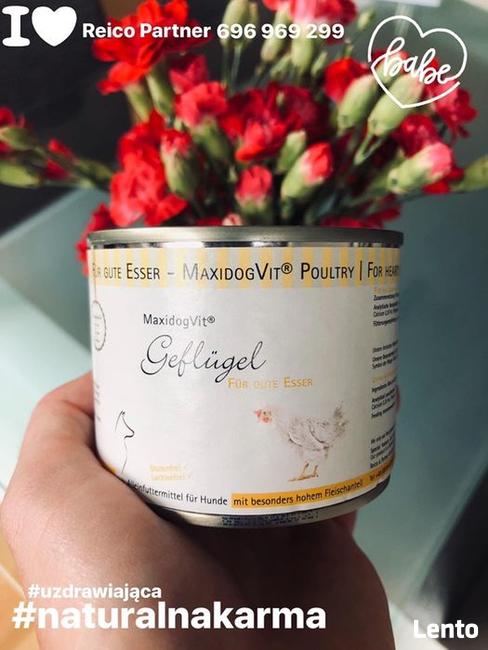 Karma mokra premium puszeczki po 200 gram Reico Vital