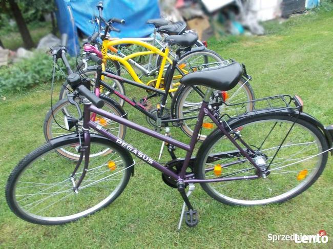 Rower Pegasus Młodzieżowy 28 cali , 7 biegów w Piaście