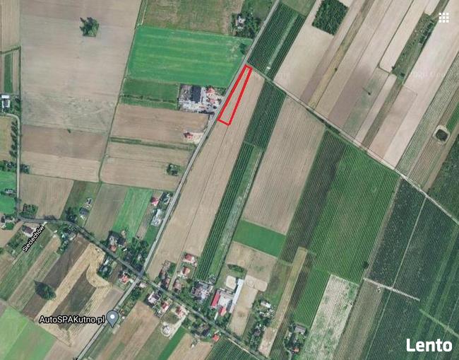 działka zagrodowo-siedliskowa, Kutno, Sieciechów