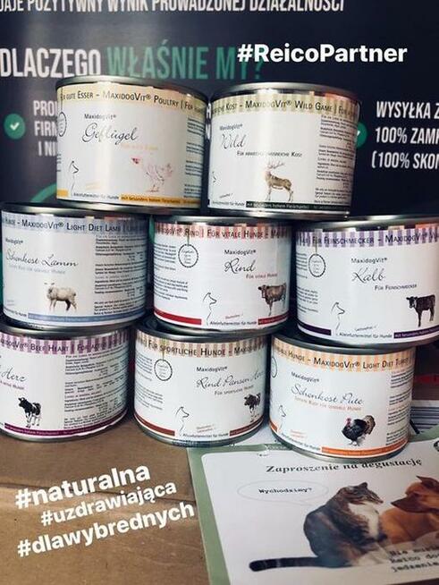 Karma mokra premium puszeczki po 200 gram Reico Vital