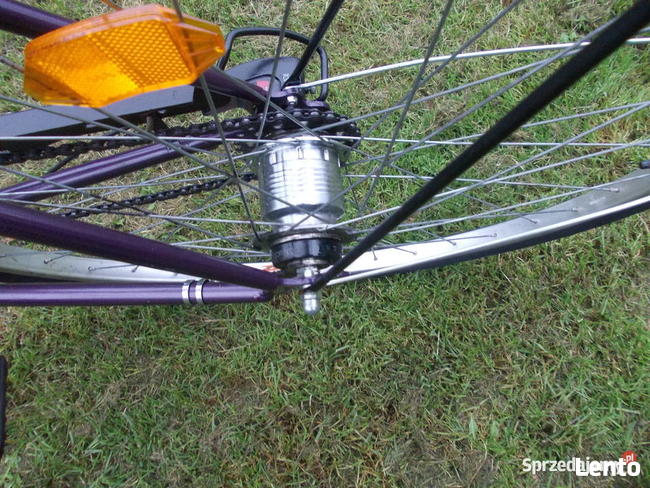 Rower Pegasus Młodzieżowy 28 cali , 7 biegów w Piaście