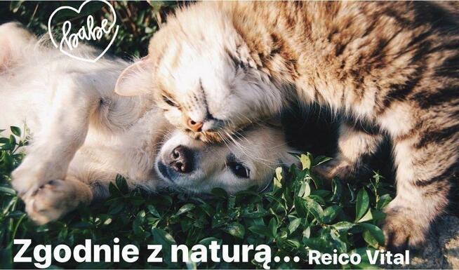 Karma i odżywki dla zwierząt Reico Vital Pies/ kot/ koń