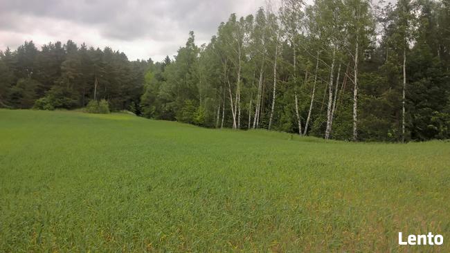 Działki 3000m2 -w okolicach jeziora Garbas