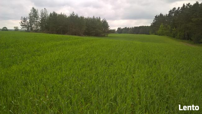 Działki 3000m2 -w okolicach jeziora Garbas