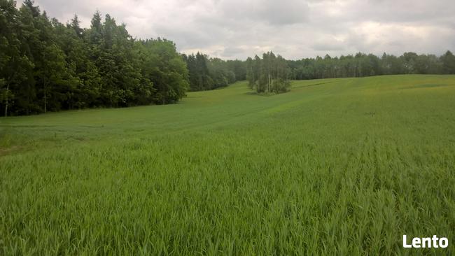 Działki 3000m2 -w okolicach jeziora Garbas