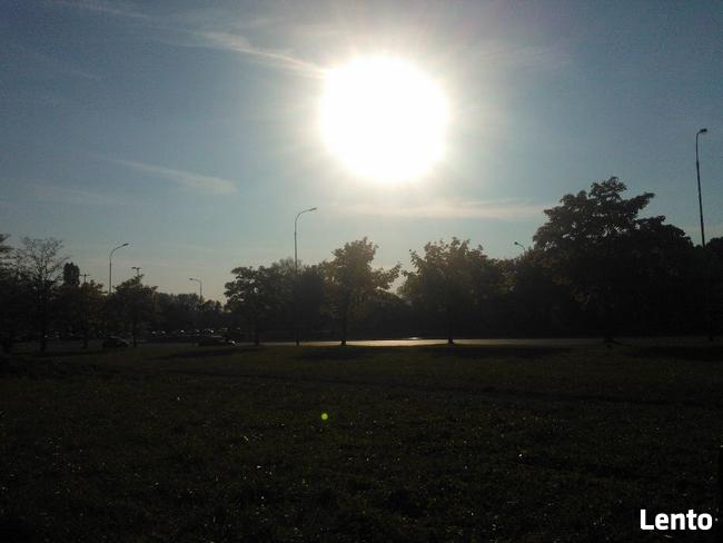 Działki budowlane pod Łodzią przy lesie grzybowym i jagodowy