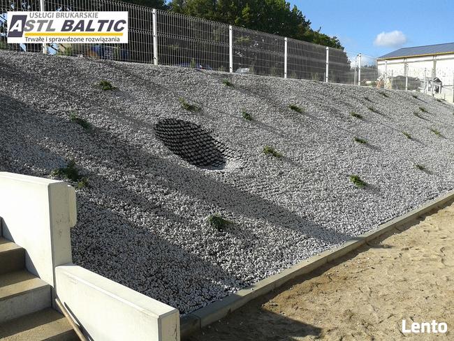 oczyszczanie działek, karczowanie, wycinka drzew, roboty