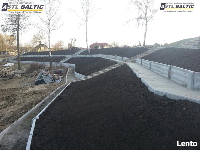 oczyszczanie działek, karczowanie, wycinka drzew, roboty