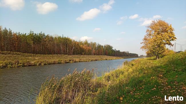 Białołęka-Warszawa 1000m2 ul. Białołęcka - działka budowlana