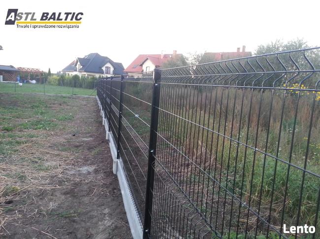 oczyszczanie działek, karczowanie, wycinka drzew, roboty