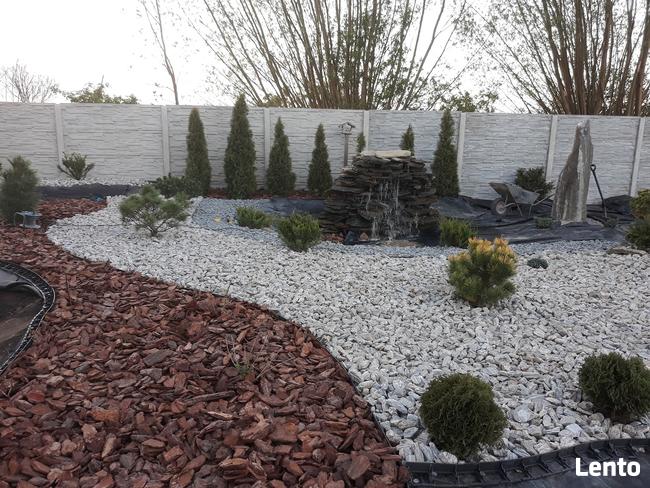 oczyszczanie działek, karczowanie, wycinka drzew, roboty