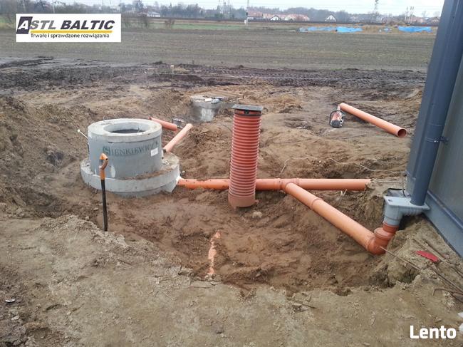 oczyszczanie działek, karczowanie, wycinka drzew, roboty