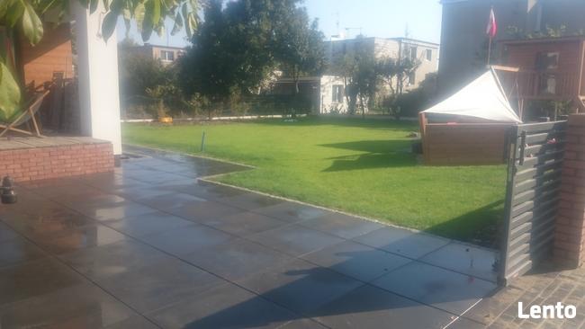 oczyszczanie działek, karczowanie, wycinka drzew, roboty