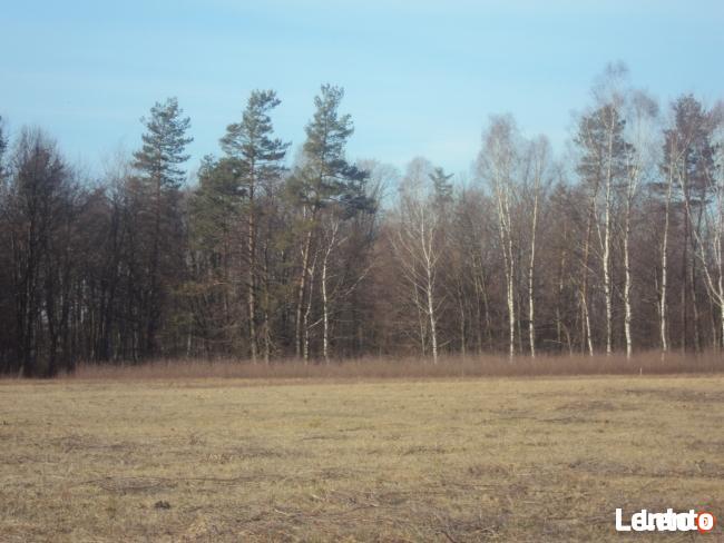 DZIAŁKI BUDOWLANE KOCHANOWO 1080m2