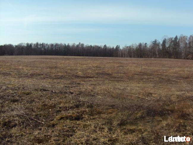 DZIAŁKI BUDOWLANE KOCHANOWO 1080m2