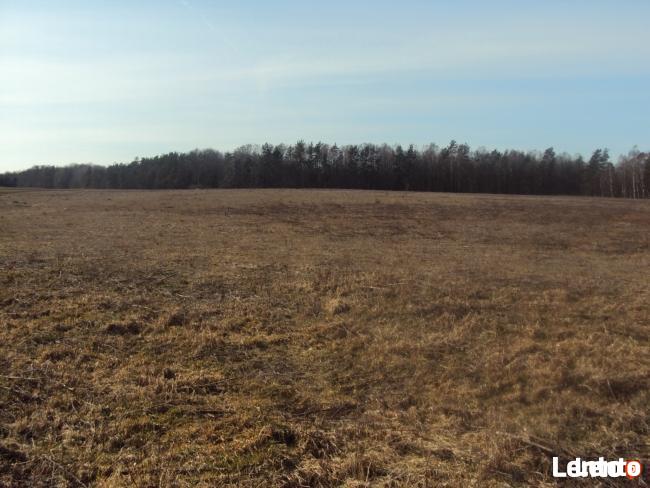 DZIAŁKI BUDOWLANE KOCHANOWO 1080m2