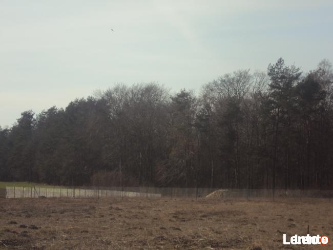 DZIAŁKI BUDOWLANE KOCHANOWO 1080m2
