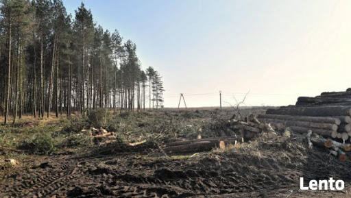 Czyszczenie porządkowanie działek Sprzątanie po Budowie Inne