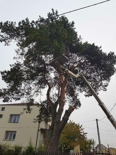 Czyszczenie porządkowanie działek Sprzątanie po Budowie Inne