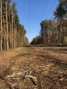 Czyszczenie porządkowanie działek Sprzątanie po Budowie Inne