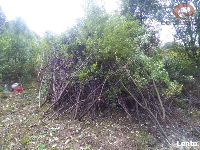 Ogrody Prace Porządkowe Wycinki Ogrodzenia Kompleksowo Inne