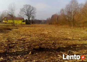 Ogrody Prace Porządkowe Wycinki Ogrodzenia Kompleksowo Inne