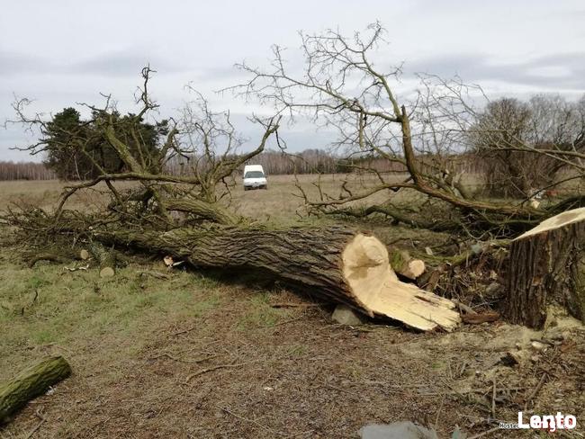 Ogrodzenia Tanie z Siatki Lesnej Rozbiórki Ogrodnictwo Inne