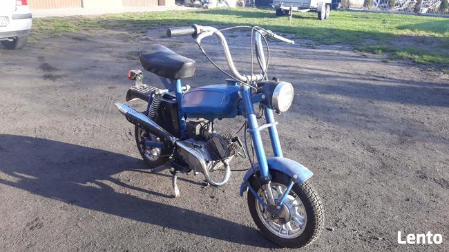 Motorynka pony