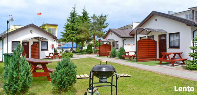 Kolonie letnie, Zielone szkoły, obozy sportowe