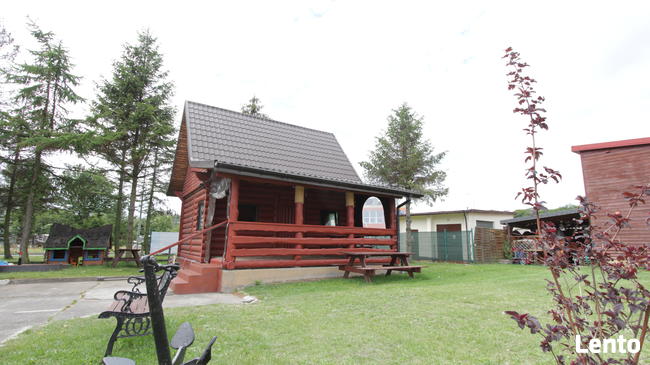 Kolonie letnie, Zielone szkoły, obozy sportowe