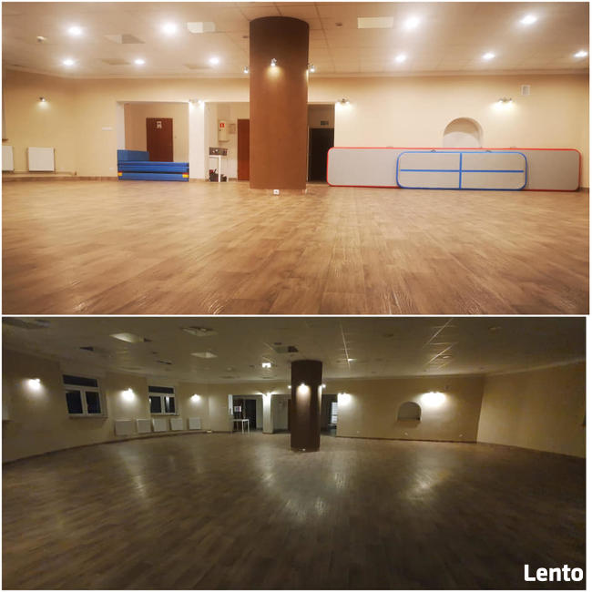 Kolonie letnie, Zielone szkoły, obozy sportowe