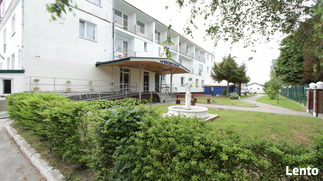 Kolonie letnie, Zielone szkoły, obozy sportowe