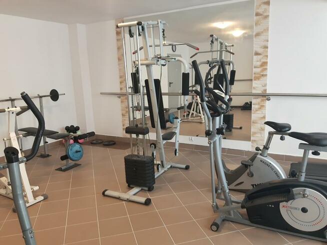 Warsztaty taneczne 7- dniowe dla grup zorganizowanych.