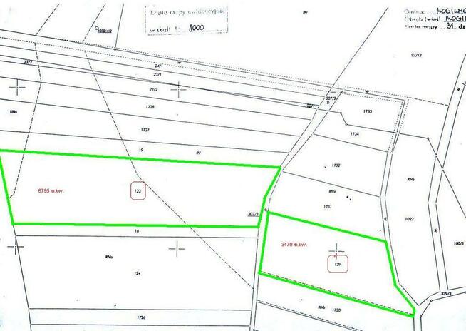 Działki w Mogilnie : 6795 +3470 m.kw. = 1.0265 ha .