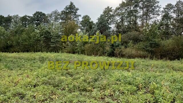 83ar działka rolna, machowa, gm. pilzno