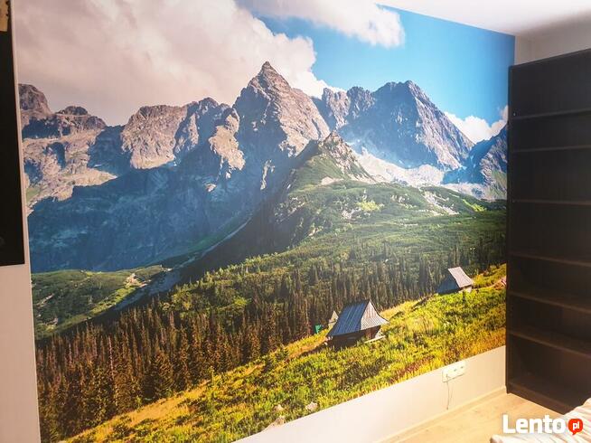 FOTOTAPETA na wymiar, fototapety DRUK PRODUCENT aplikacja FV