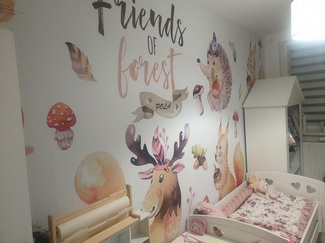 FOTOTAPETA na wymiar, fototapety druk PRODUCENT Naklejki APL