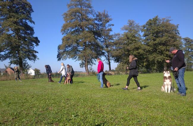 Szkolenie Psów Pogórze