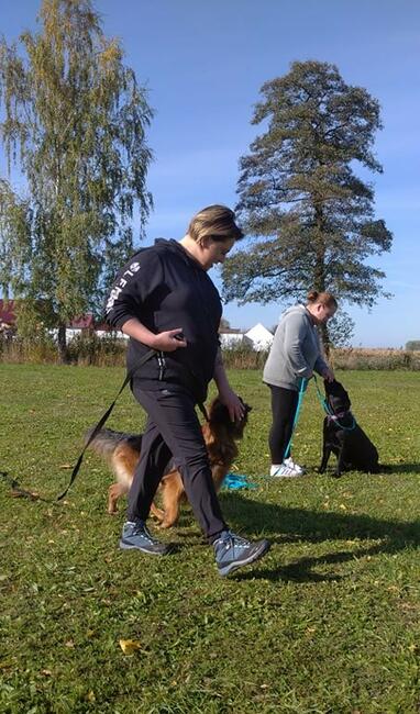 Szkolenie Psów Pogórze